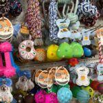 Tienda de Artículos para el Hogar con Precios Accesibles y Calidad Garantizada